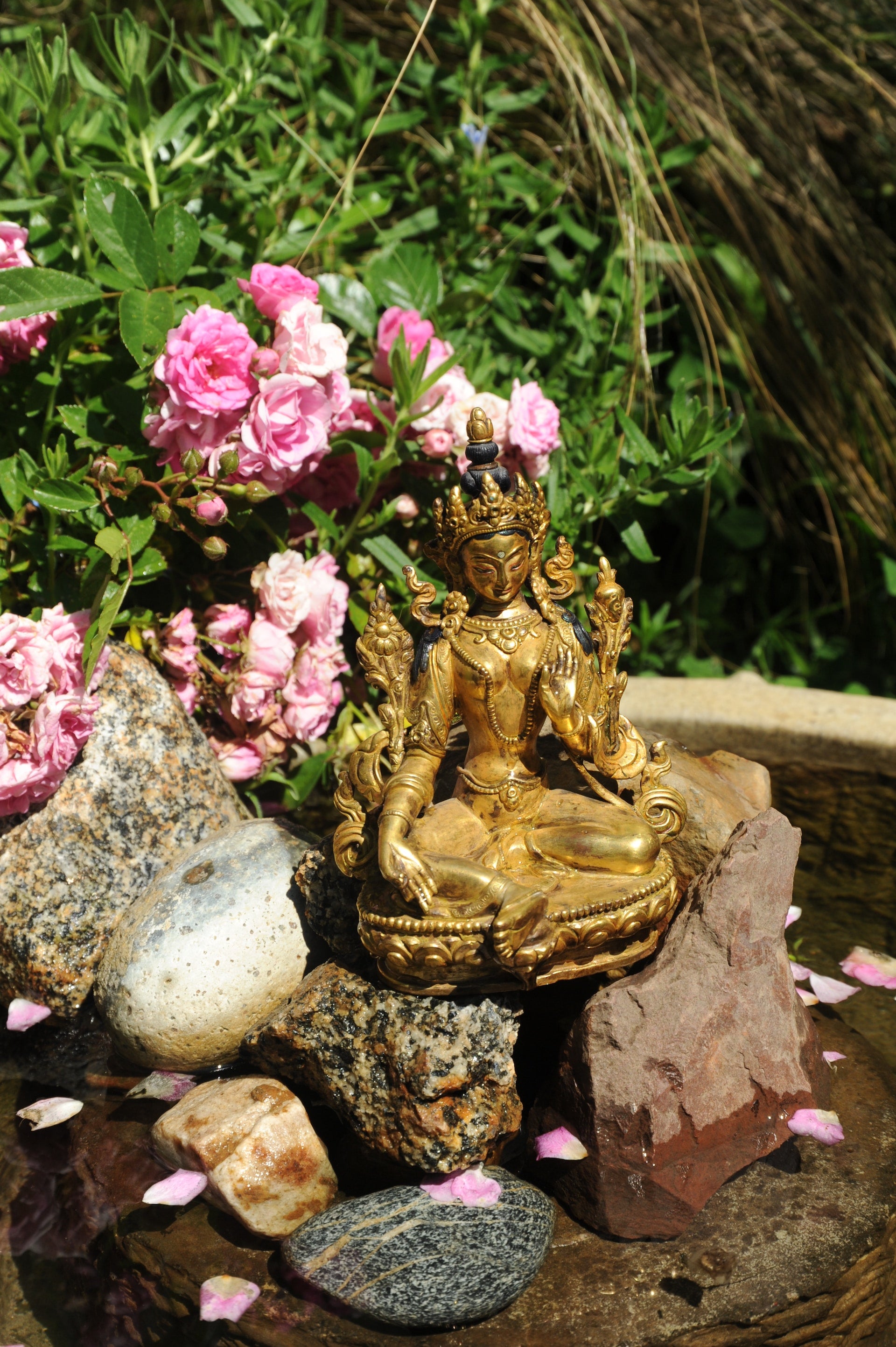 zen garden