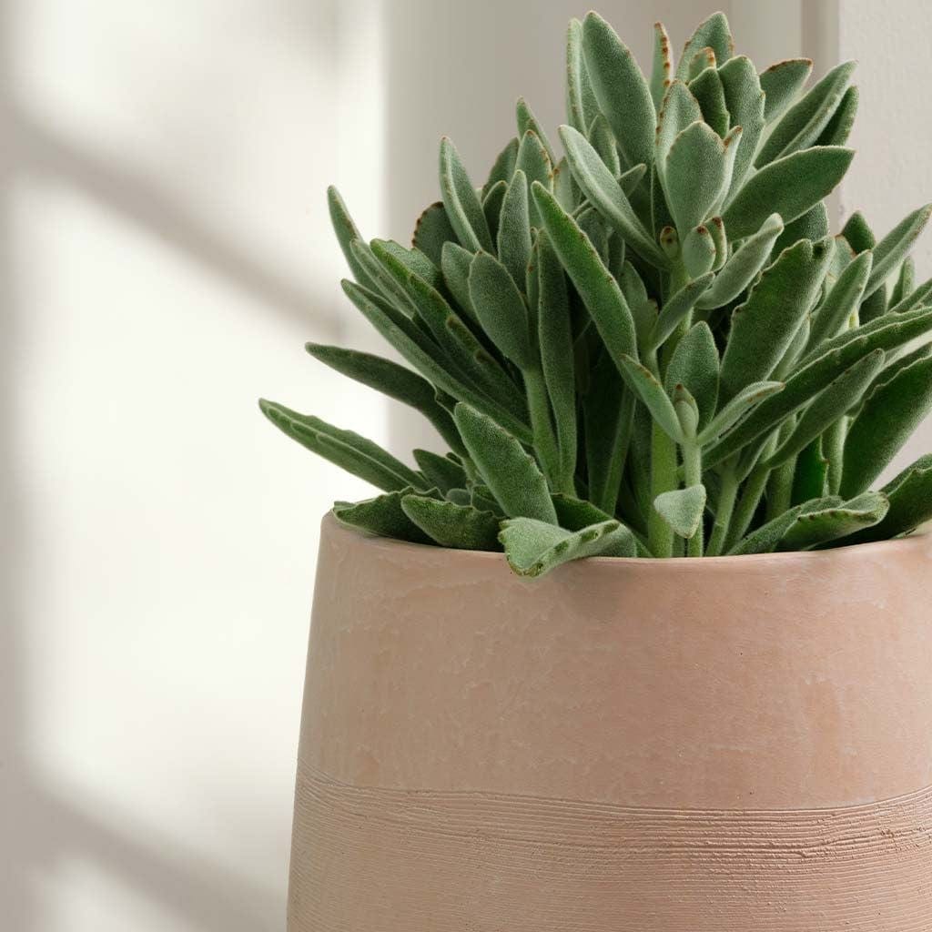 Quebrada Planter Nested Set of 3 | Terra Cotta Collection