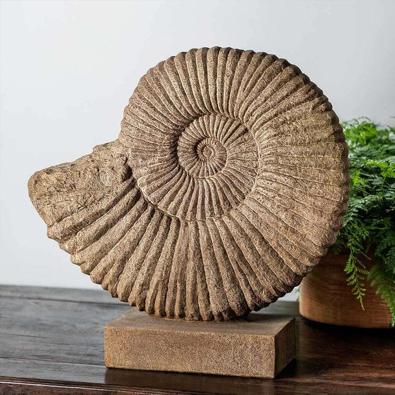 Ammonite Statue - Medium