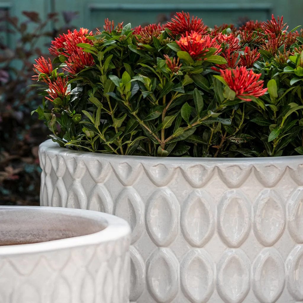 Oriel Planter Low Nested Set of 3 | Glazed Collection