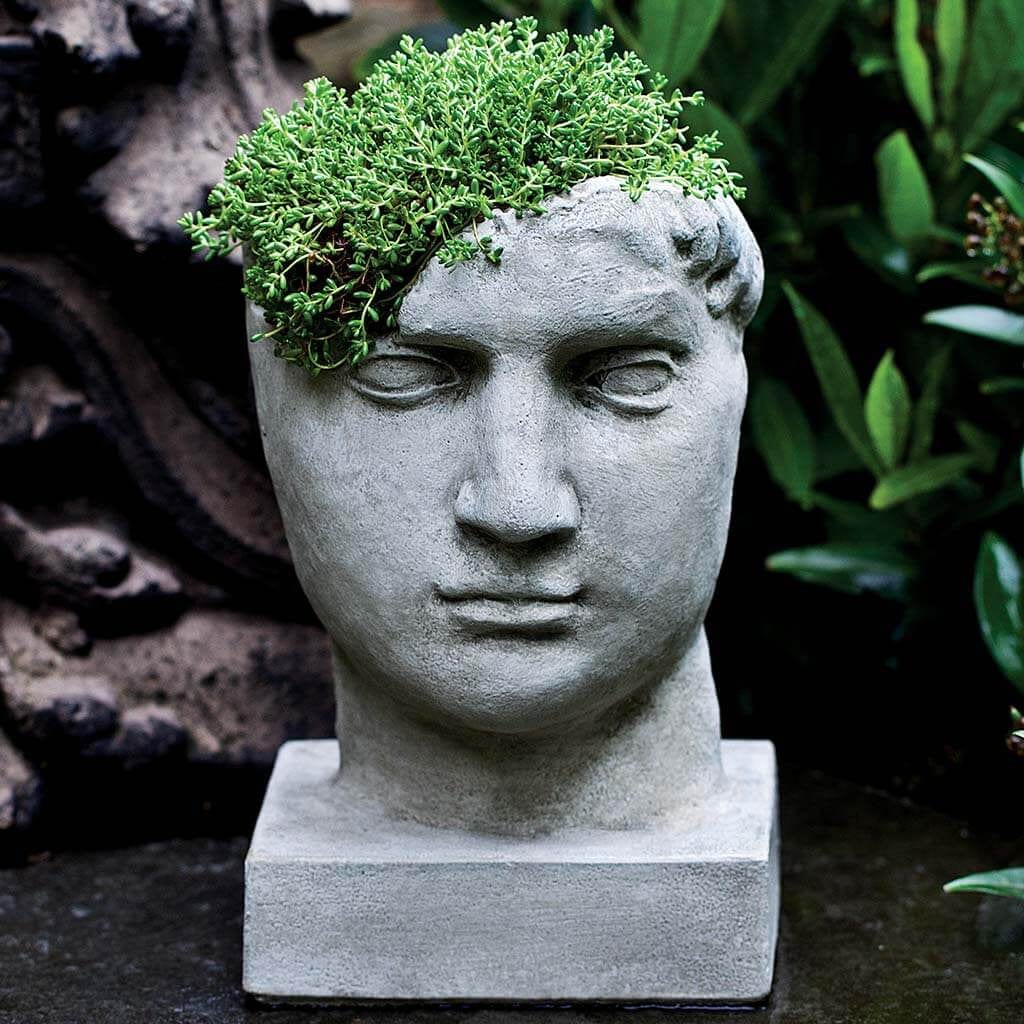 Aurelius Planter