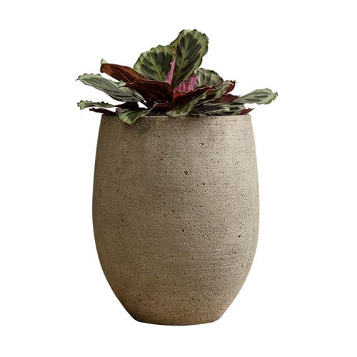 Bebel Cast Stone Planter