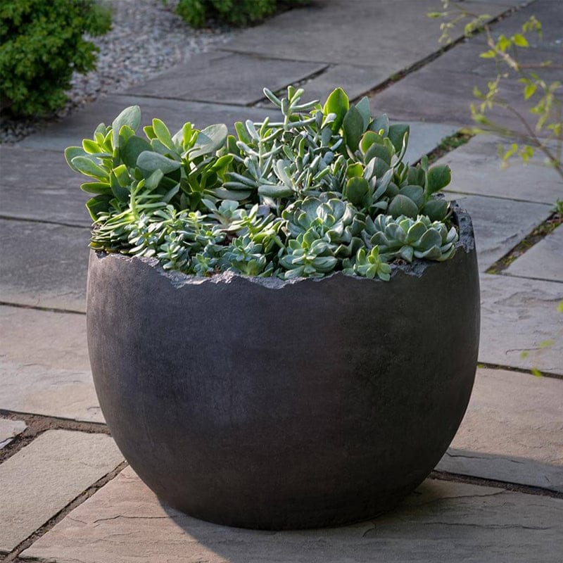 Broken Egg Planter - Grade AA