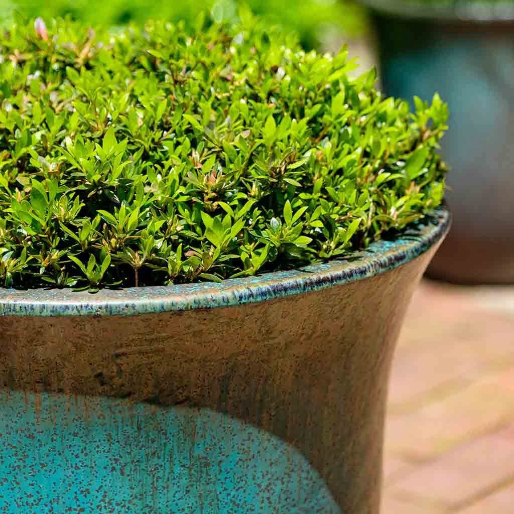 Campana Planter Nested Set of 3 | Glazed Collection