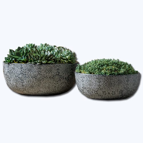 Chrysanthemum Bowl  | Cold Painted Terra Cotta Planter in Coal Black Finish