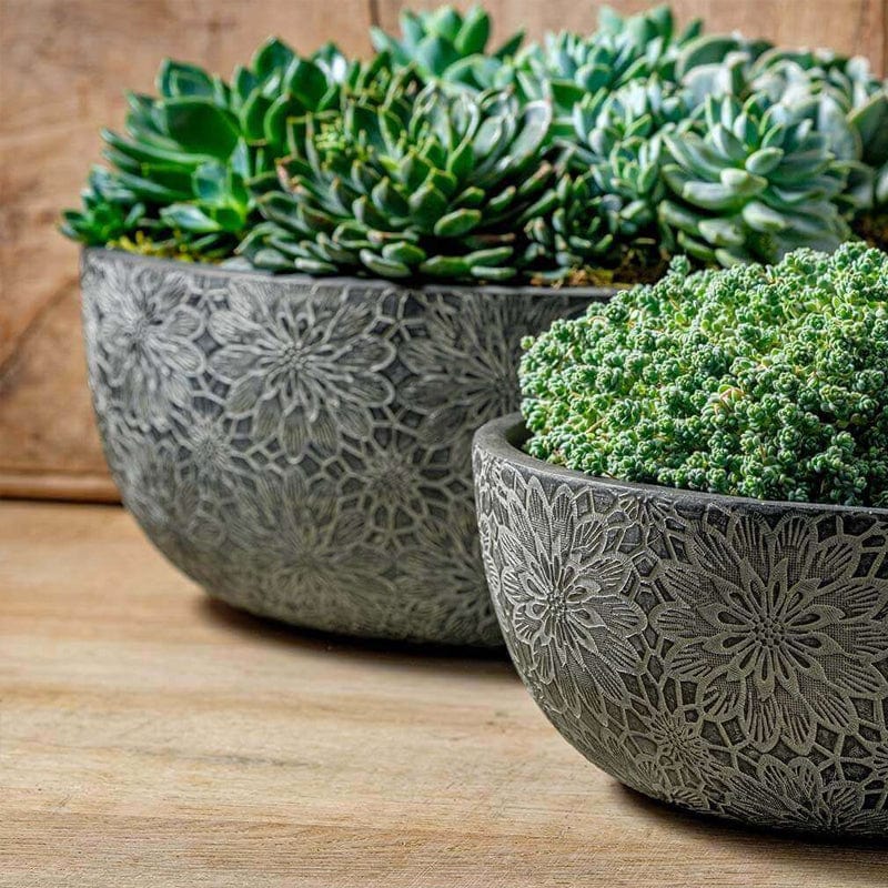 Chrysanthemum Bowl | Cold Painted Terra Cotta Planter in Coal Black Finish 