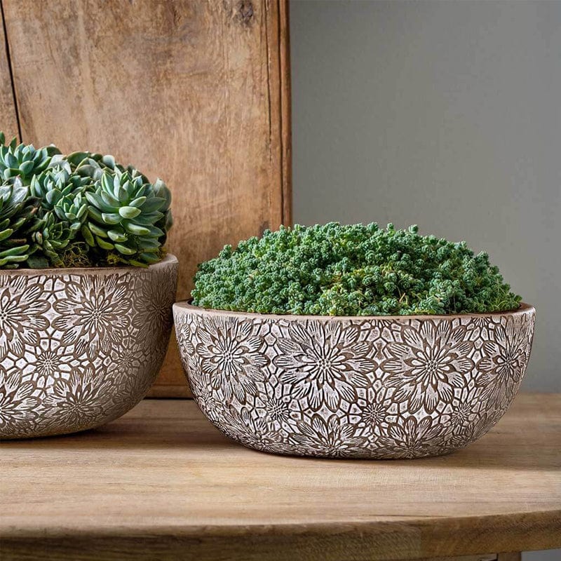 Chrysanthemum Bowl  | Cold Painted Terra Cotta Planter in Coffee Finish