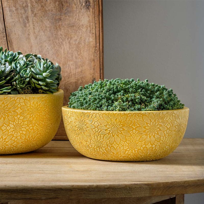 Chrysanthemum Bowl  | Cold Painted Terra Cotta Planter in Golden Rod Finish