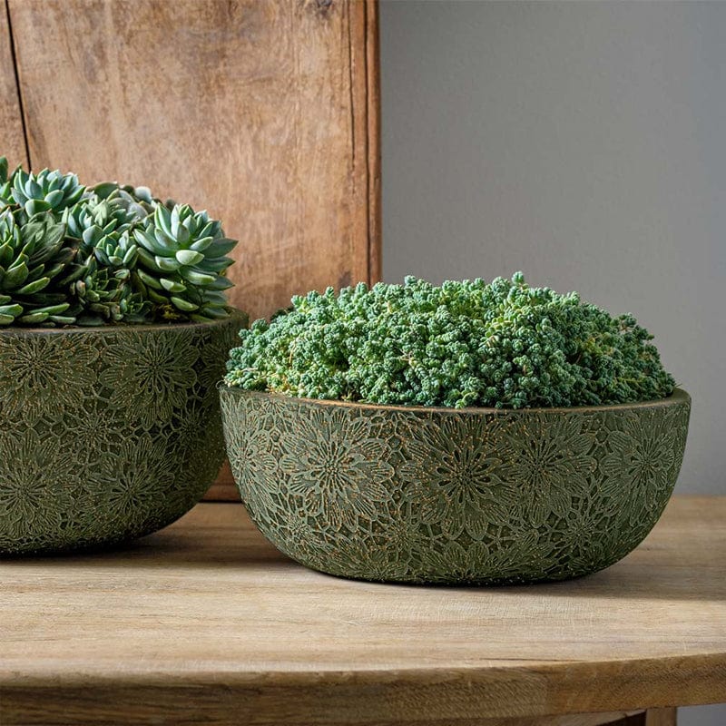 Chrysanthemum Bowl  | Cold Painted Terra Cotta Planter Green with Bronze Finish