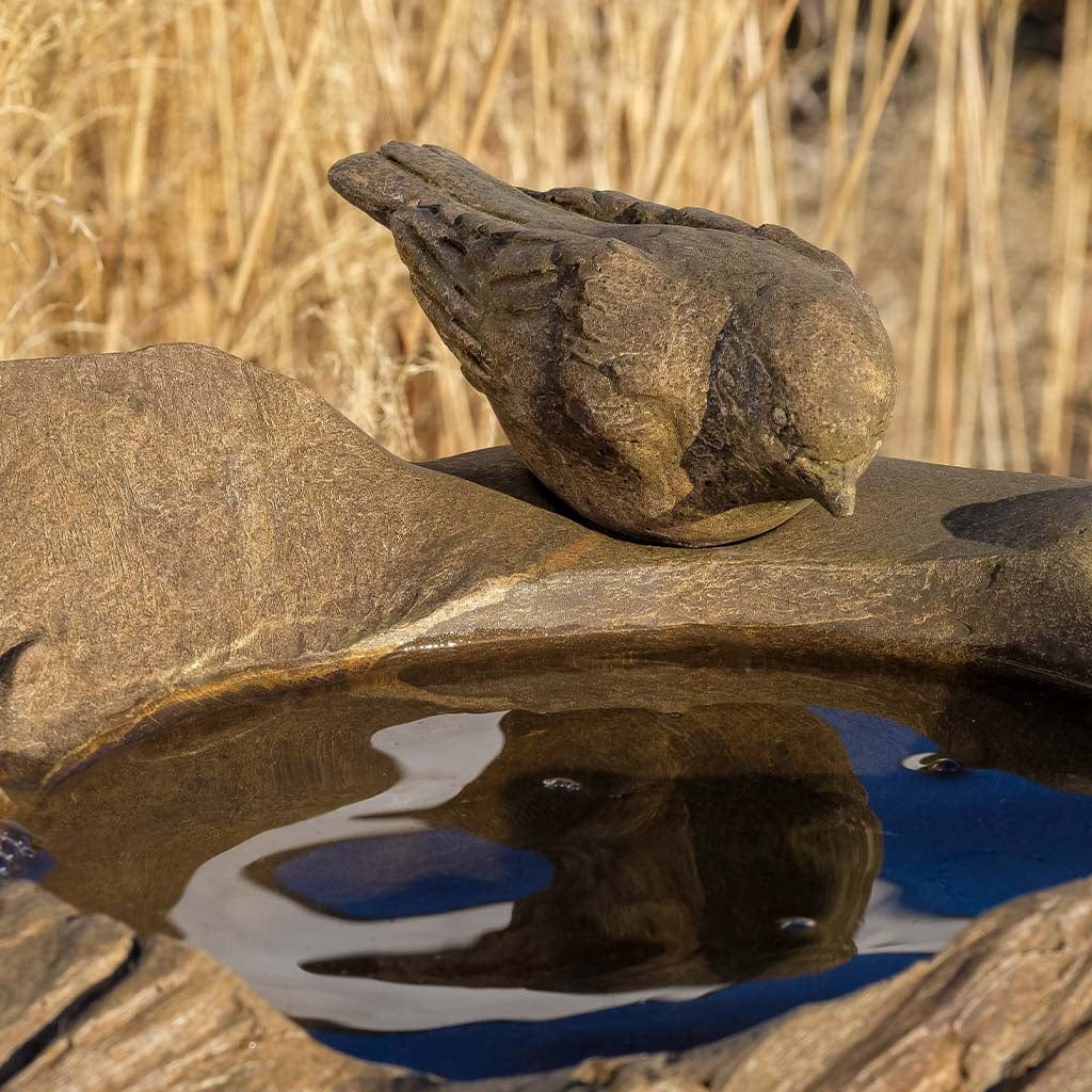 Driftwood Perch Birdbath