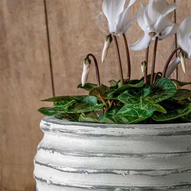 Etage Bowl | Cold Painted Terra Cotta Planter