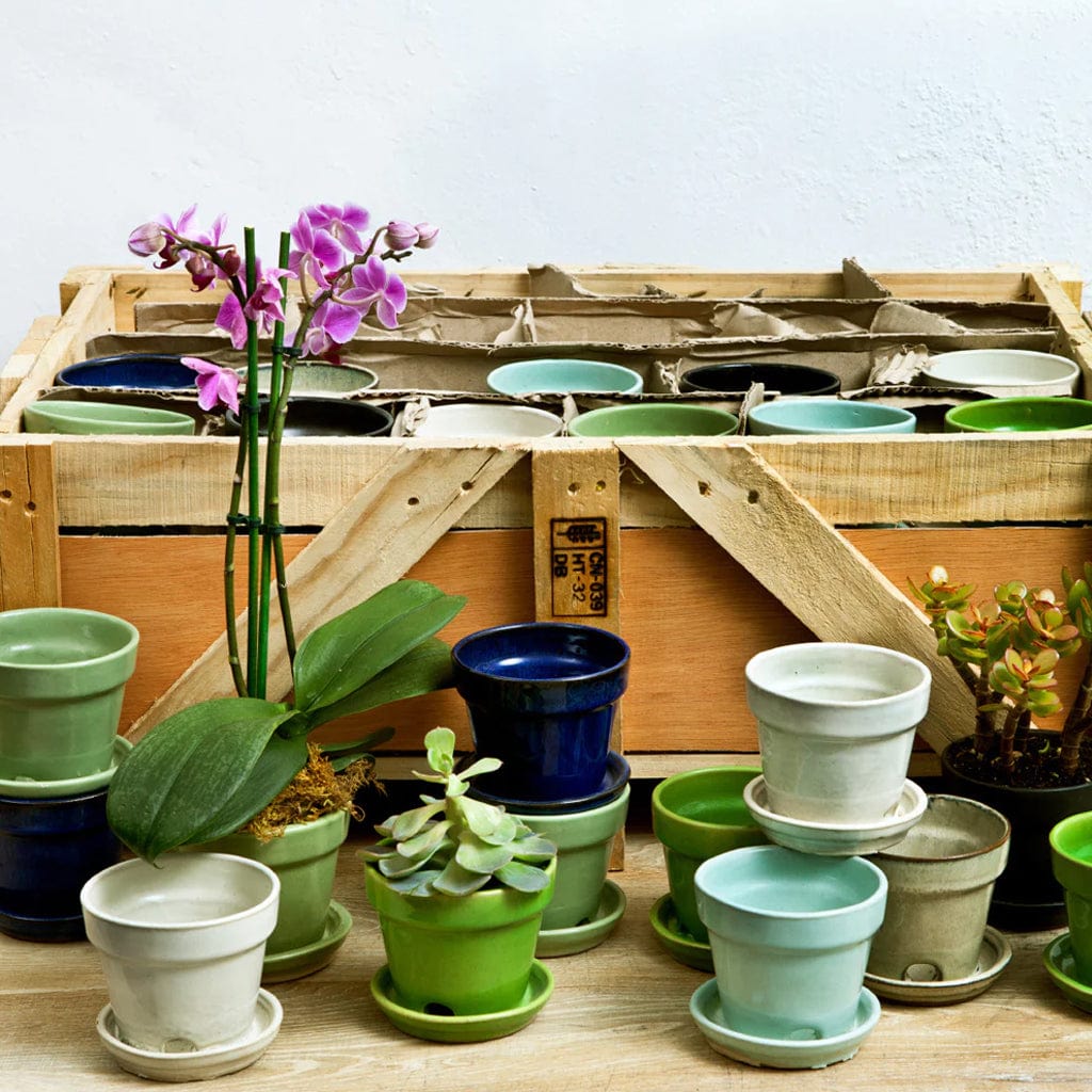 Garden Terrace Crate Set of 48 in Assorted Glaze