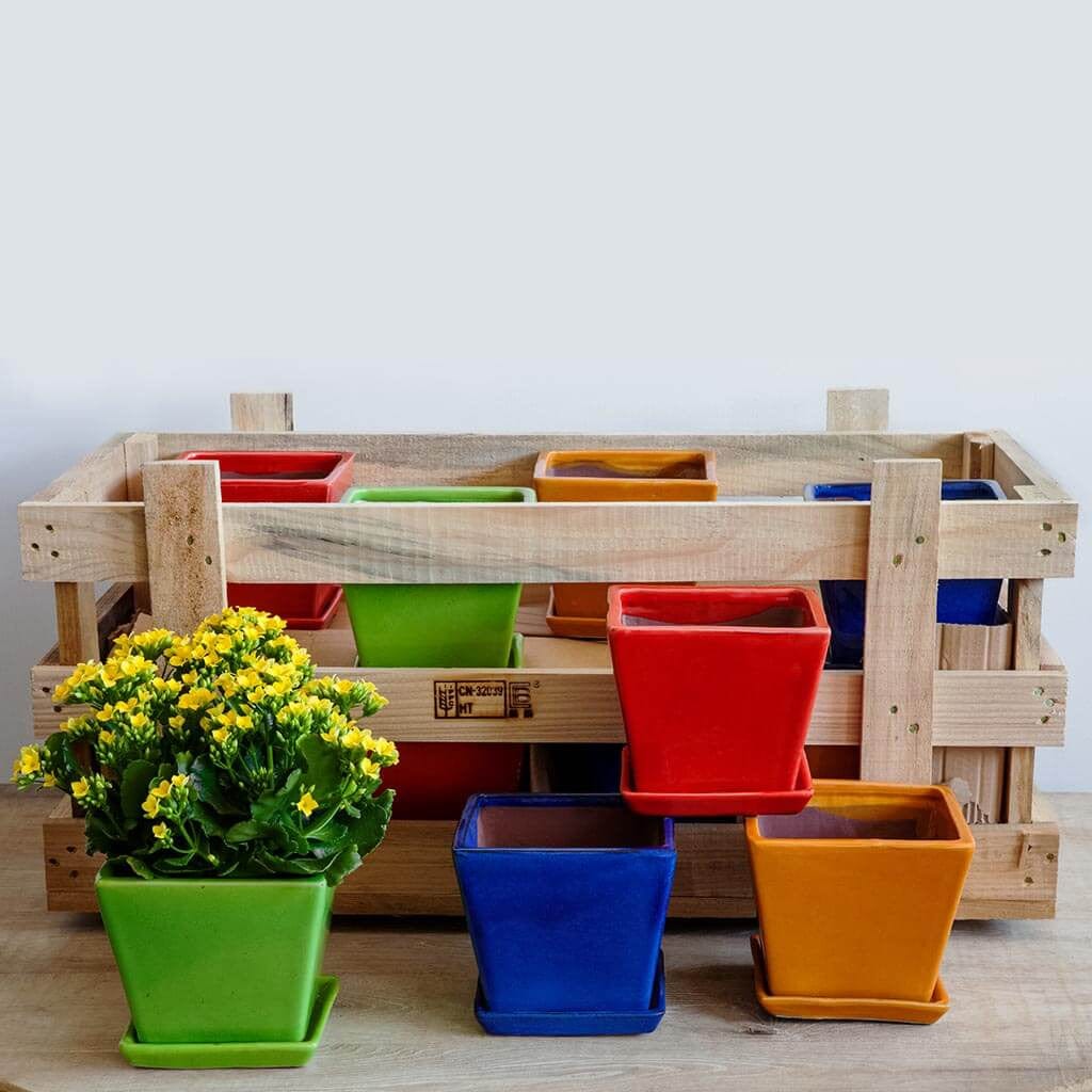 Garden Terrace Large Brights Crate Set of 16