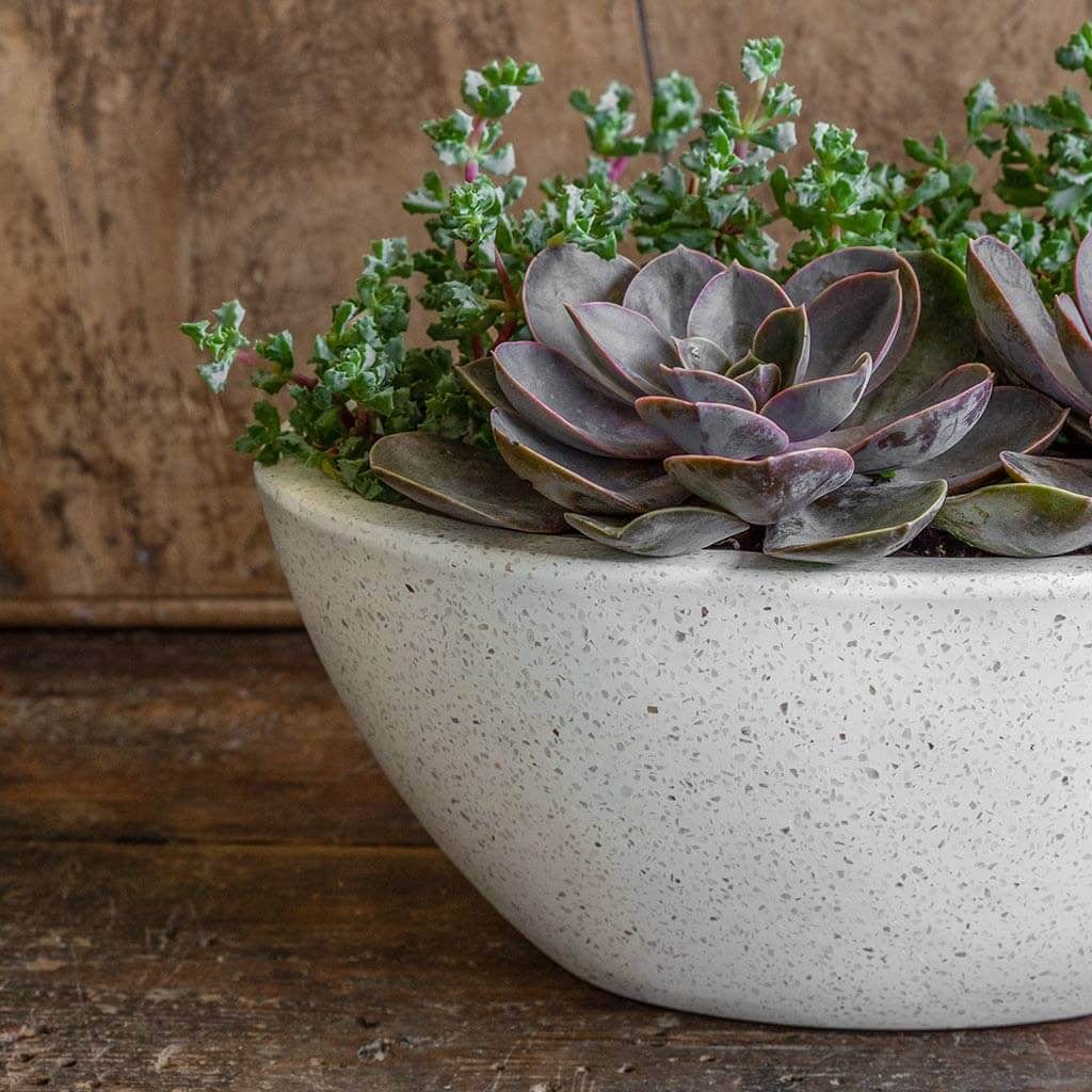 Geo Oval Bowl Set of 4 | Fiber Cement Collection