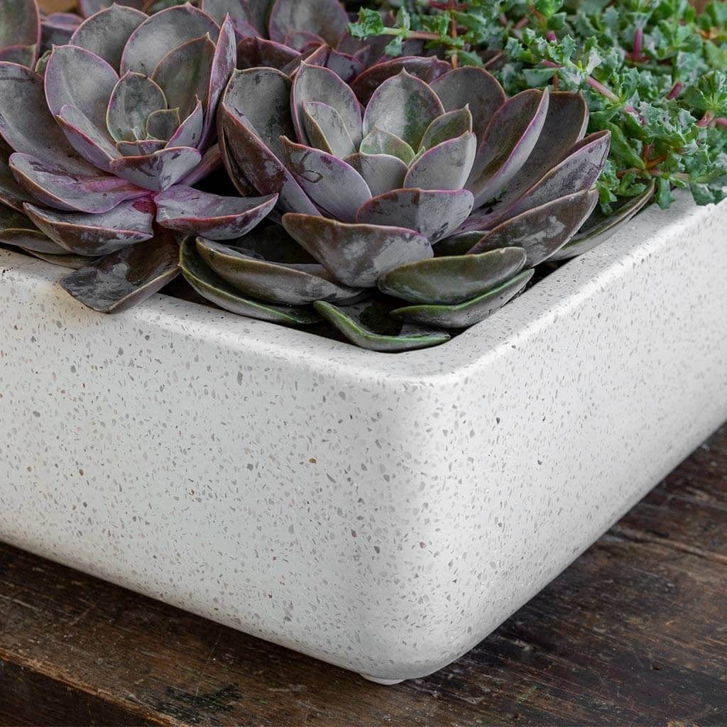 Geo Square Footed Planter Set of 4 | Fiber Cement Collection