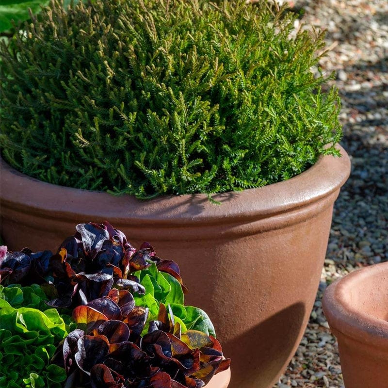 Kaili Glazed Terra Cotta Planter Set of 3