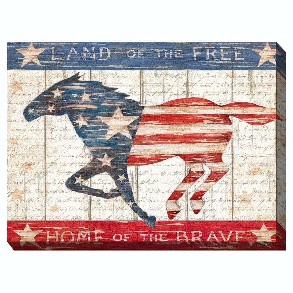 Land of the Free Outdoor Canvas Art