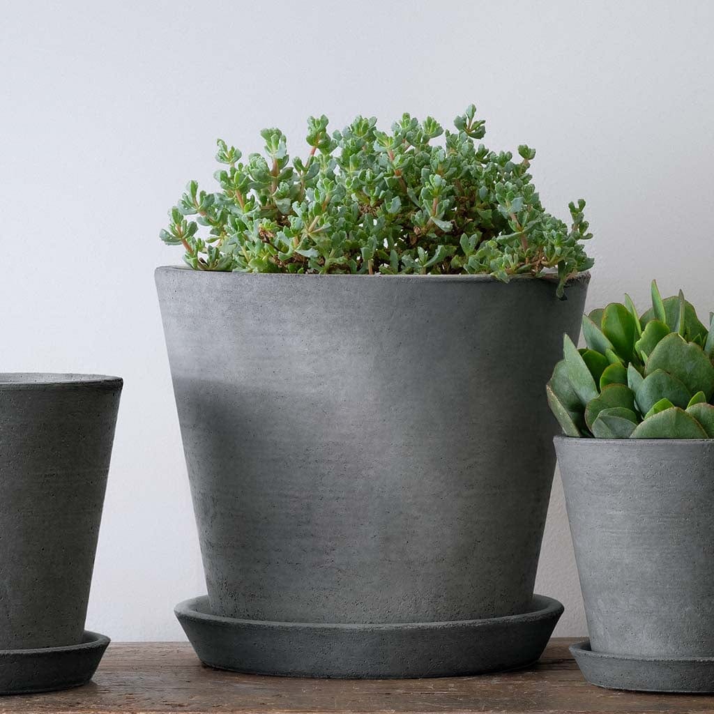 Essential Lightweight Cast Stone Concrete Planter - Large in Grey