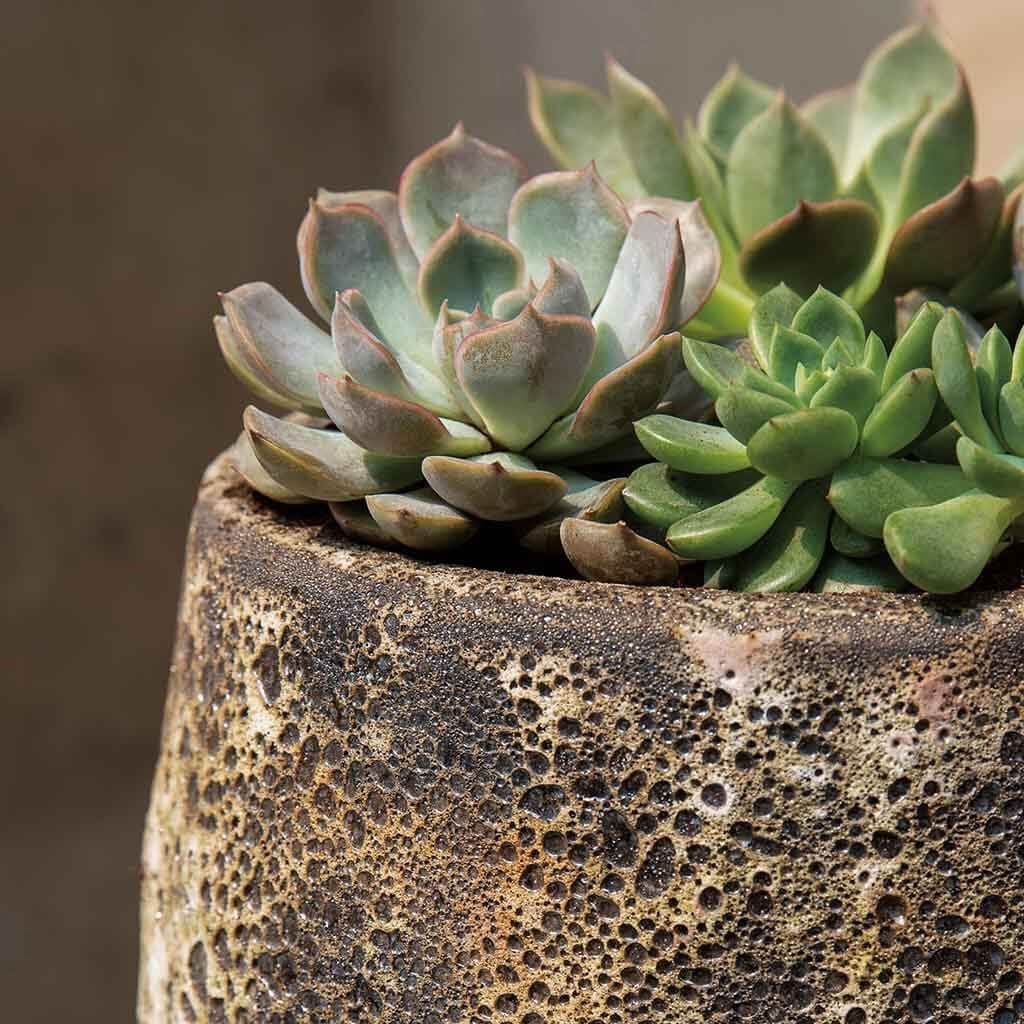 Linh Terra Cotta Planter Set of 8  in Fossil Grey