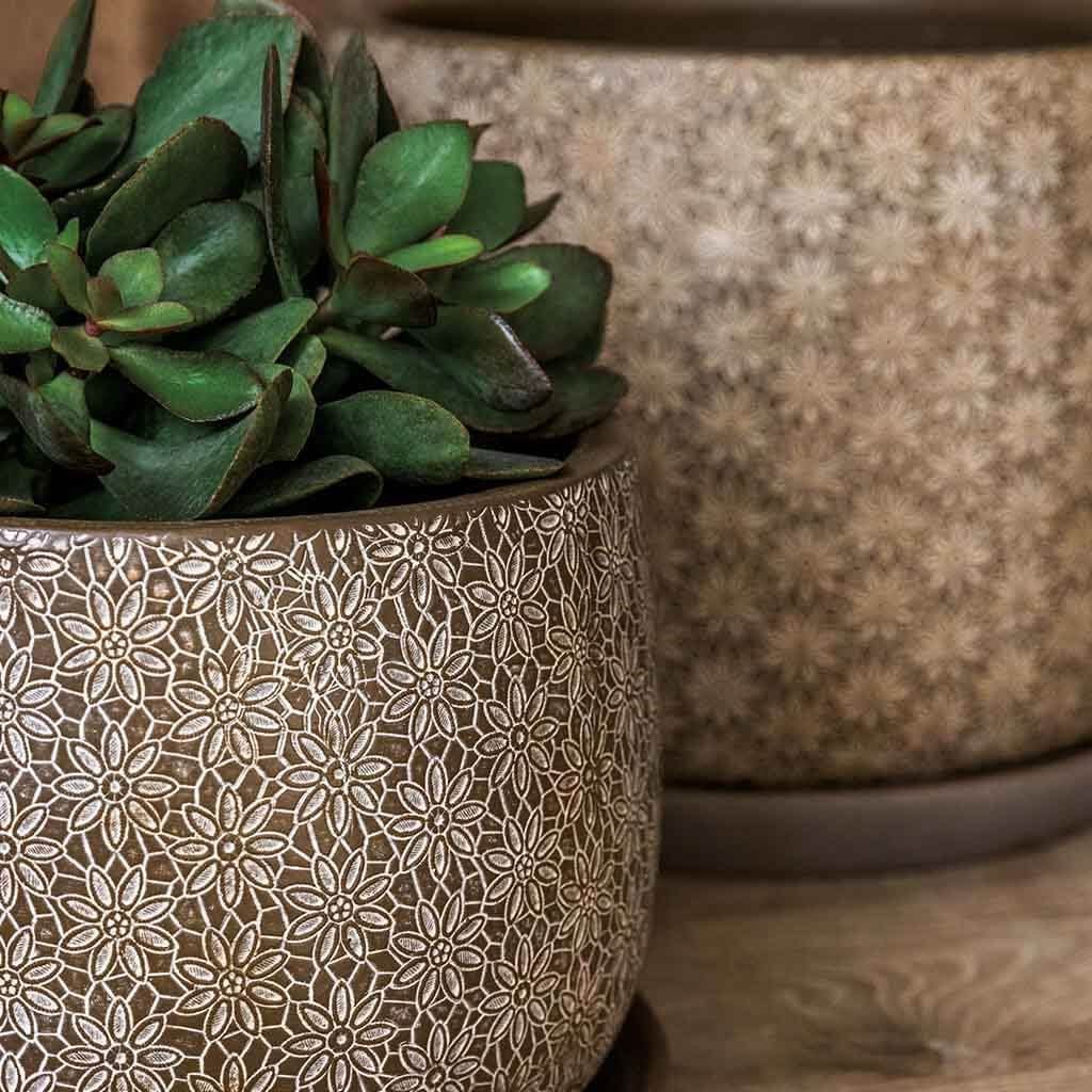 Marguerite Small Round Cold Painted Terra Cotta Planter in Coffee Finish