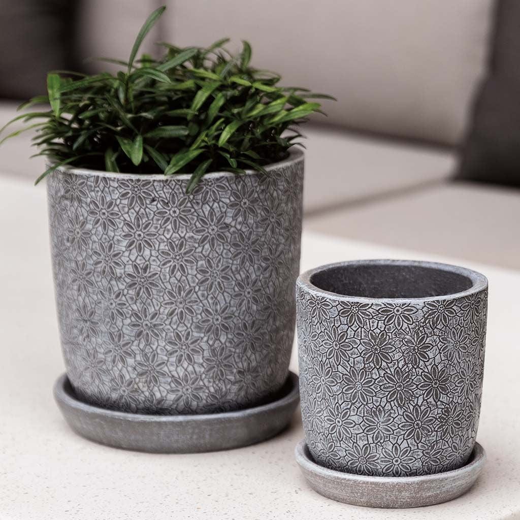 Marguerite Small Round Cold Painted Terra Cotta Planter in Etched Grey Finish