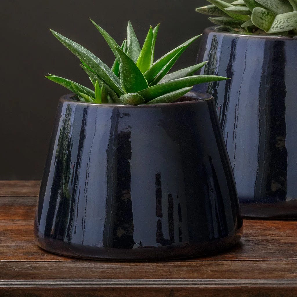 Artisan Pot Medium | Cold Painted Terra Cotta Planter