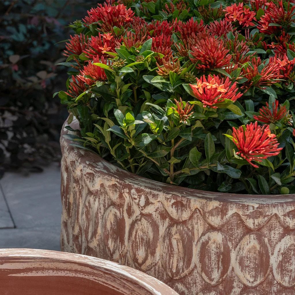 Oriel Planter Low Nested Set of 3 | Glazed Collection