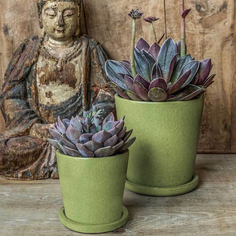 Nikki Glazed Planter Multiple Sized Assortment Set of 16 in Kelp Green