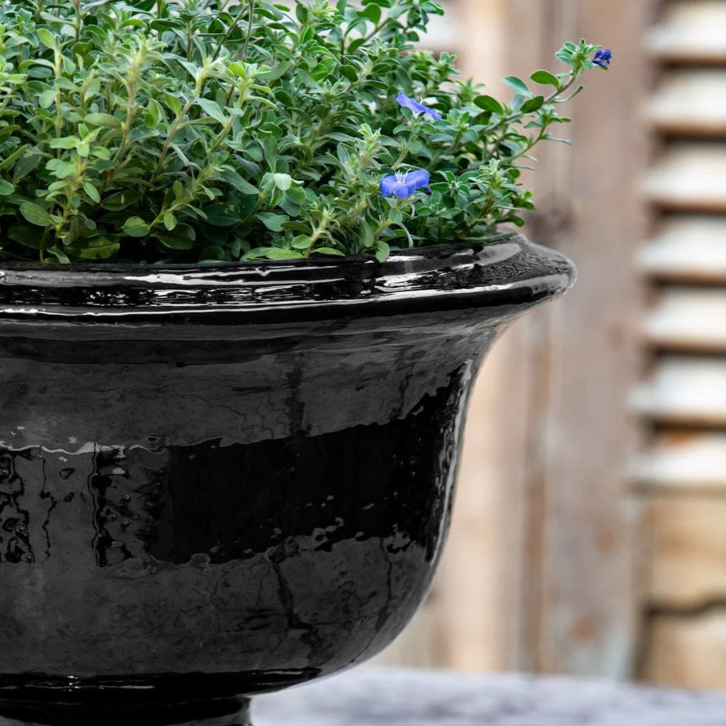 Margaux Urn Planter | Glazed Collection
