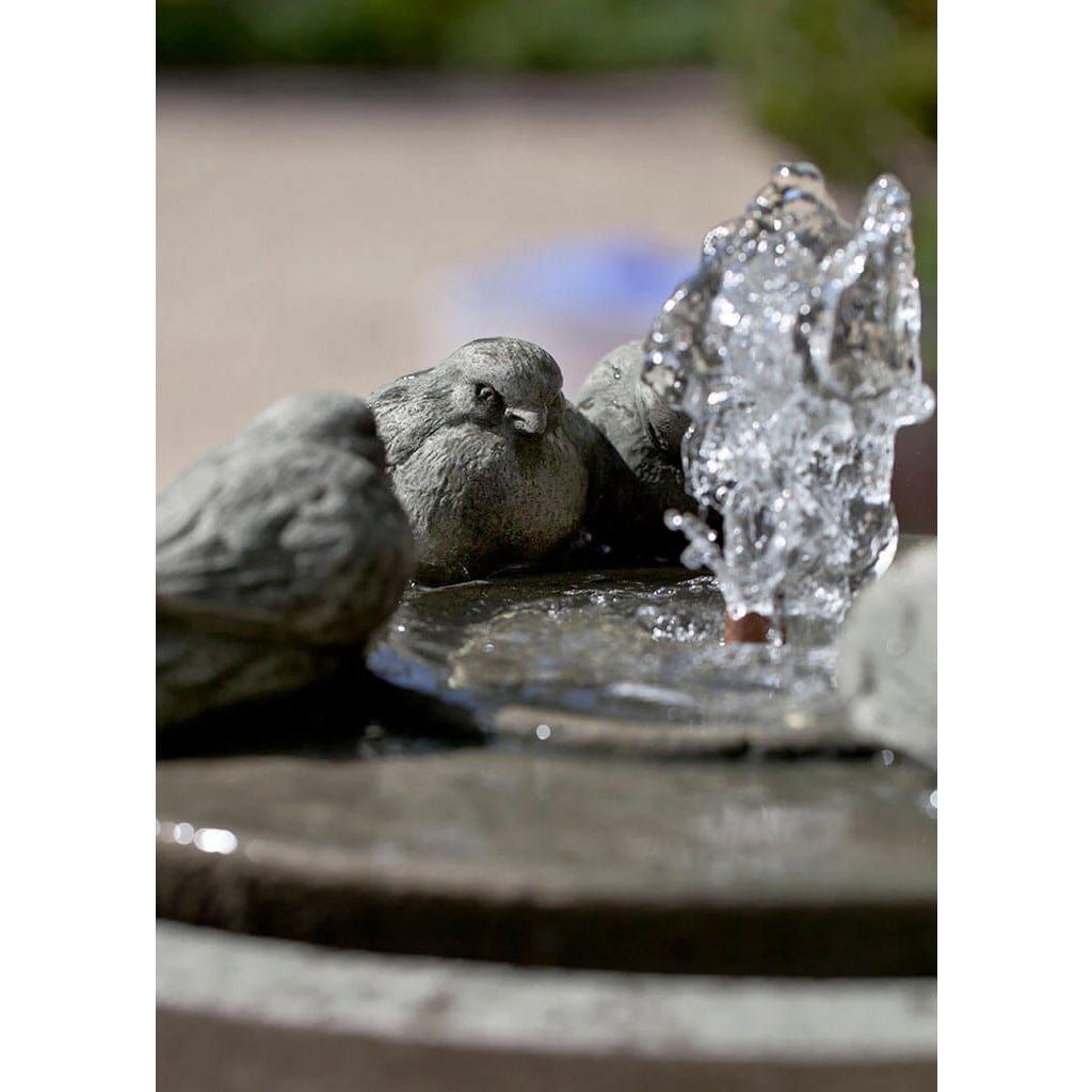 Passaros II Garden Water Fountain