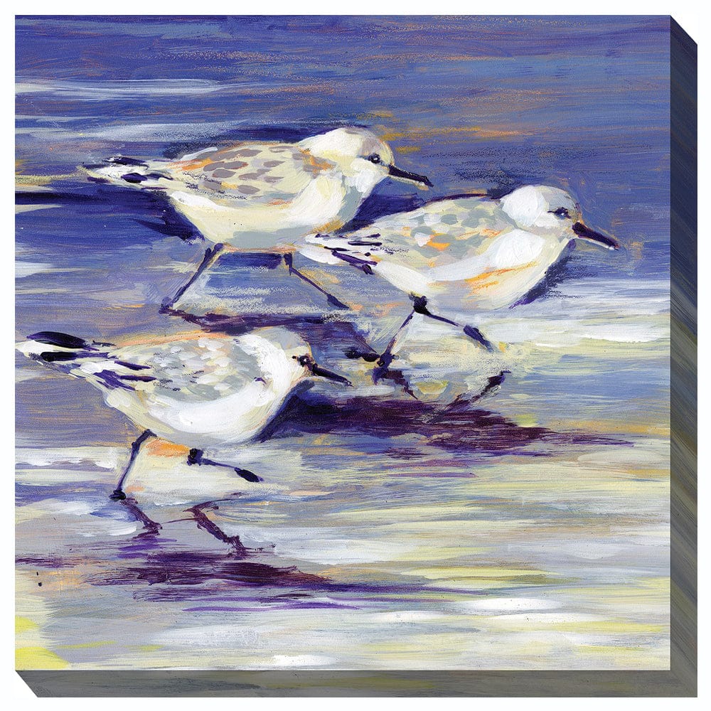 Sandpipers Outdoor Canvas Art