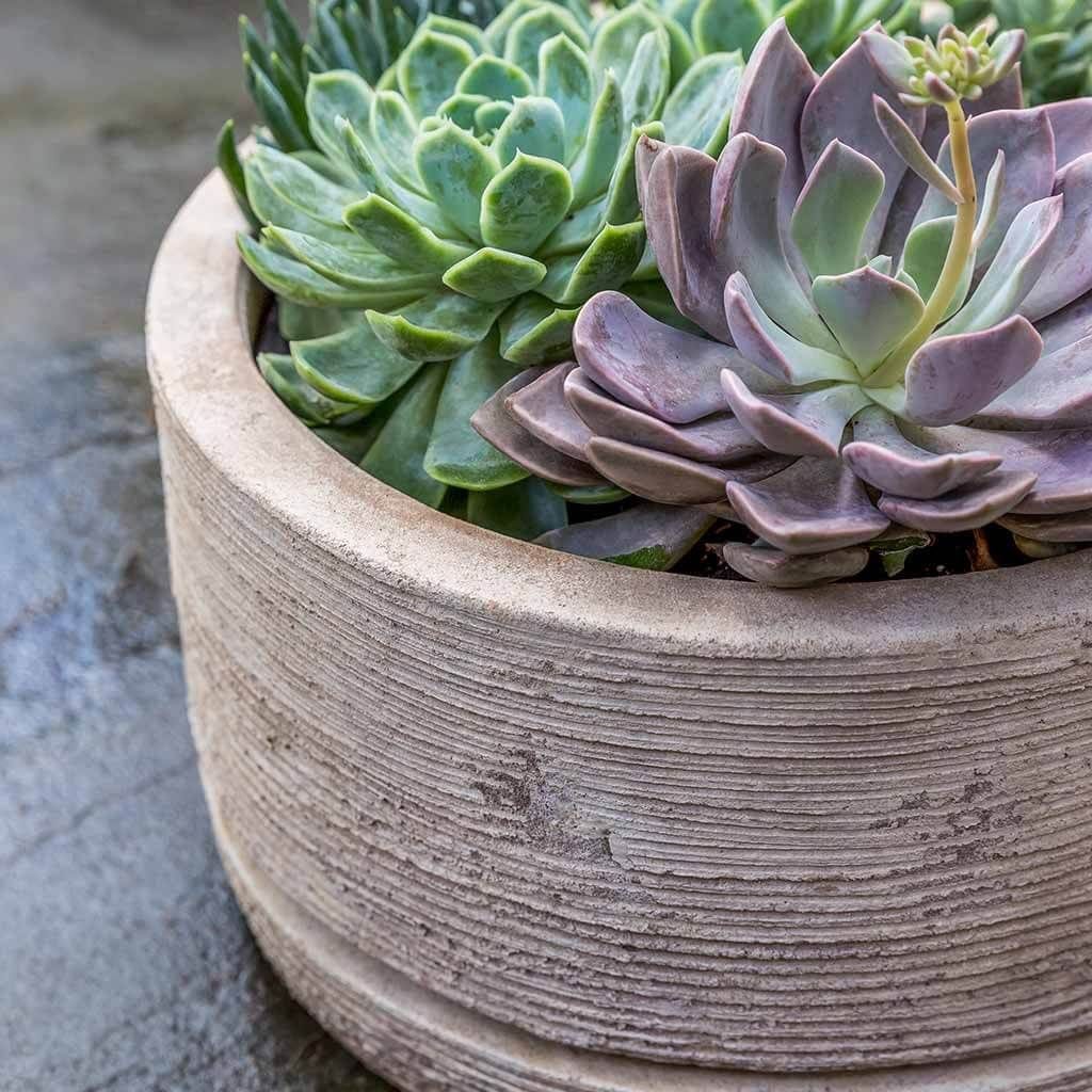 Sgraffito Low Planter Set of 3 in Antico Terra Cotta Finish