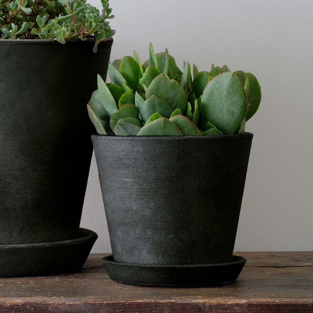 Essential Lightweight Cast Stone Concrete Planter in Charcoal