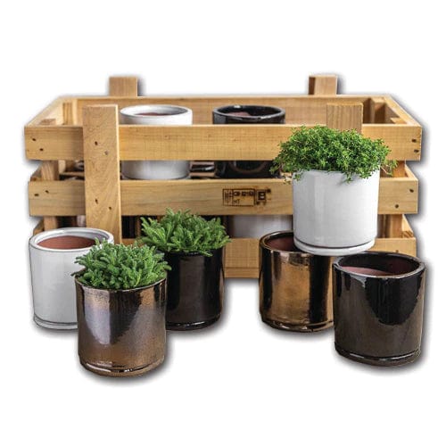 Small Cylinder Planter Crate Set of 16 in Assorted Glaze