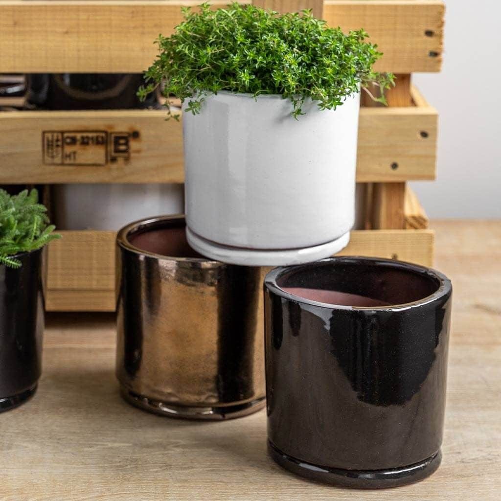 16 inch ceramic pots for plants Small Cylinder Planter Crate Set of 16 in Assorted Glaze