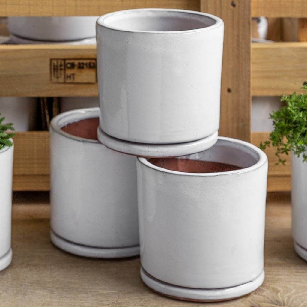 16 pots for plants Small Cylinder Planter Crate Set of 16 in White