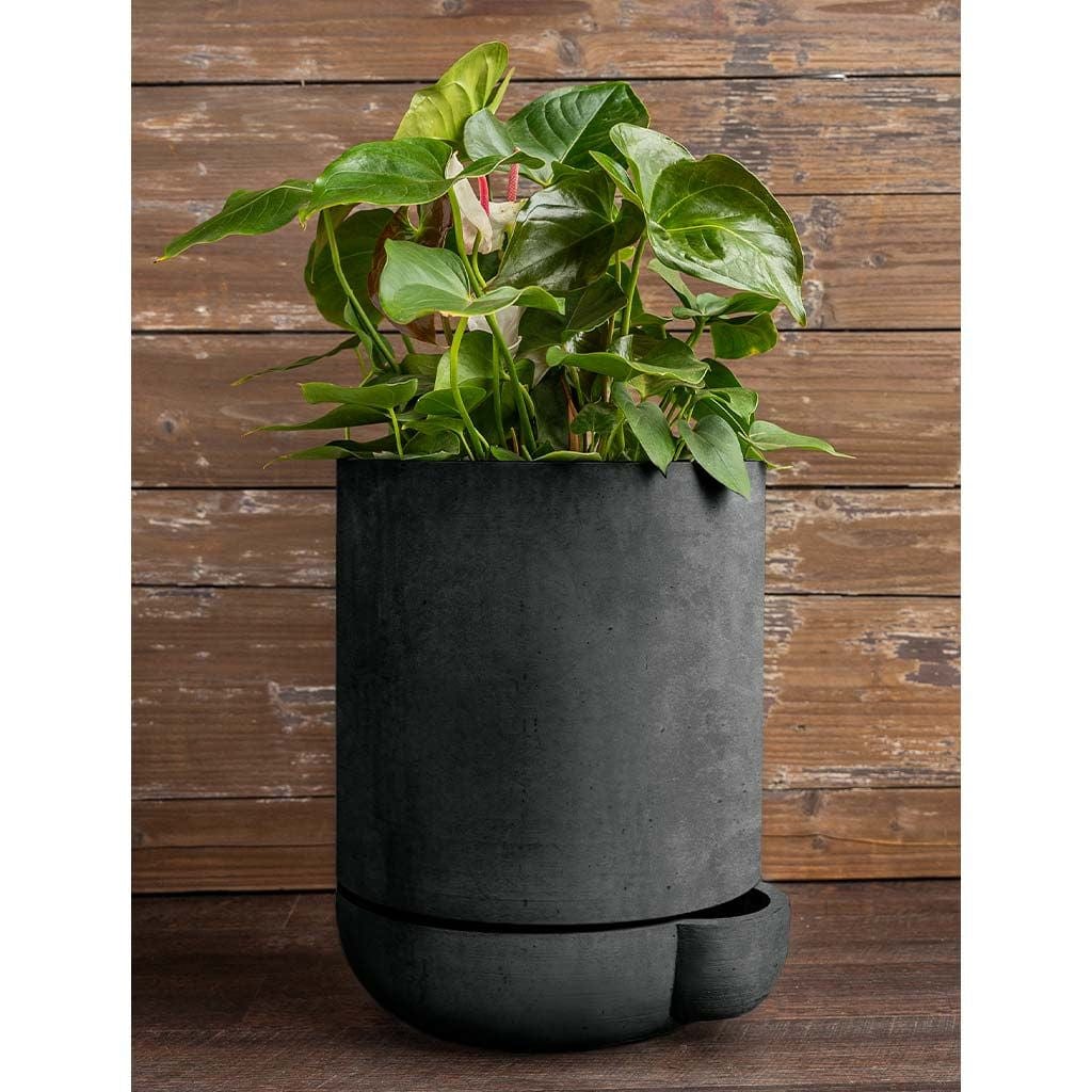 The Simple Pot | 1 Pint Self Watering Lightweight Cast Stone Concrete Planter in Charcoal
