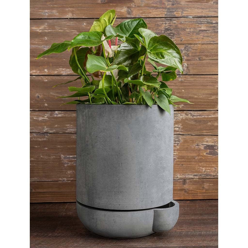 The Simple Pot | 1 Quart Self Watering Lightweight Cast Stone Concrete Planter in Grey
