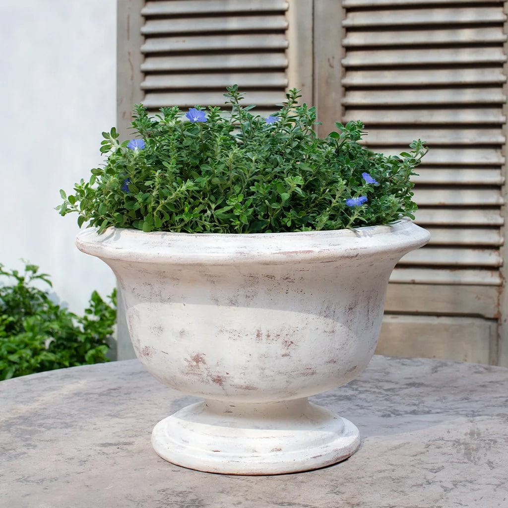 Margaux Urn Planter | Glazed Collection