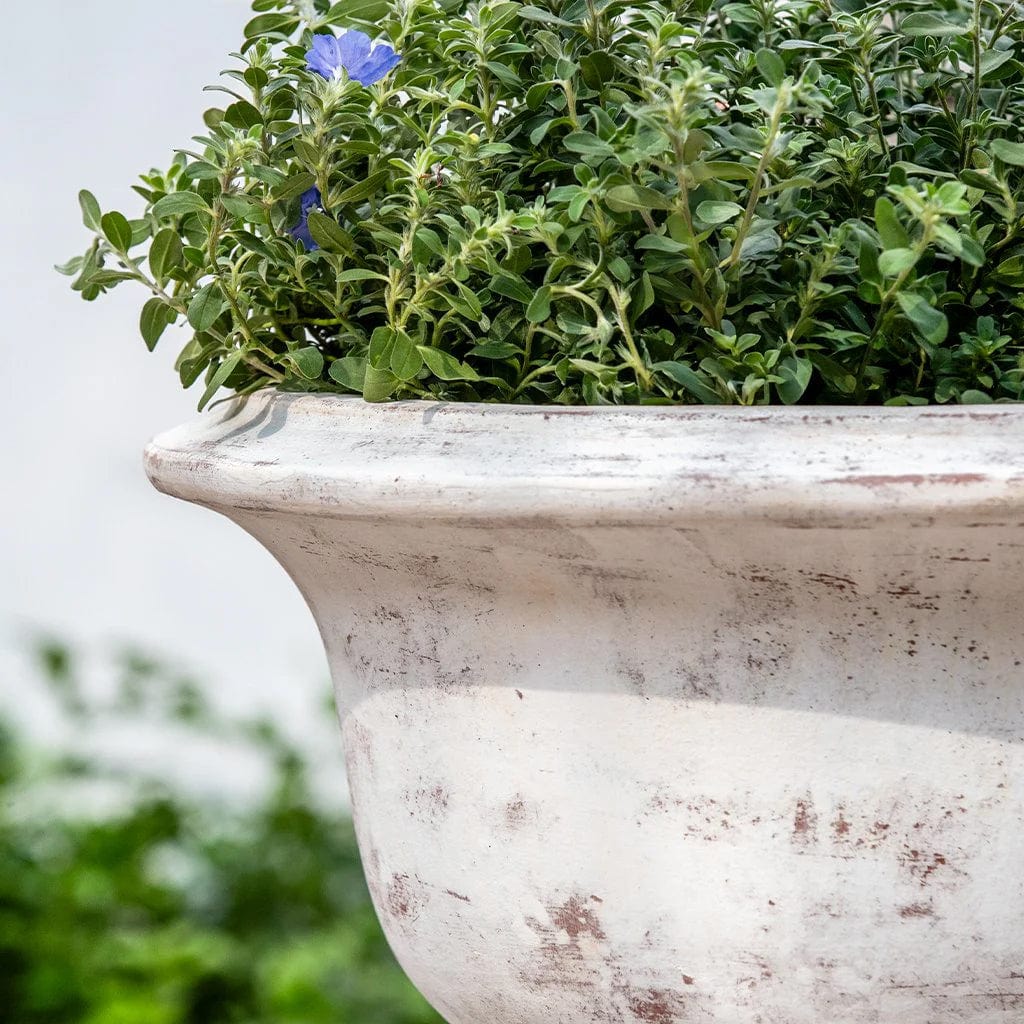 Margaux Urn Planter | Glazed Collection