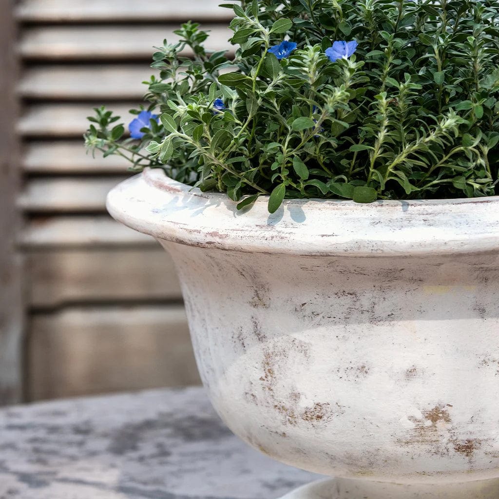 Margaux Urn Planter | Glazed Collection