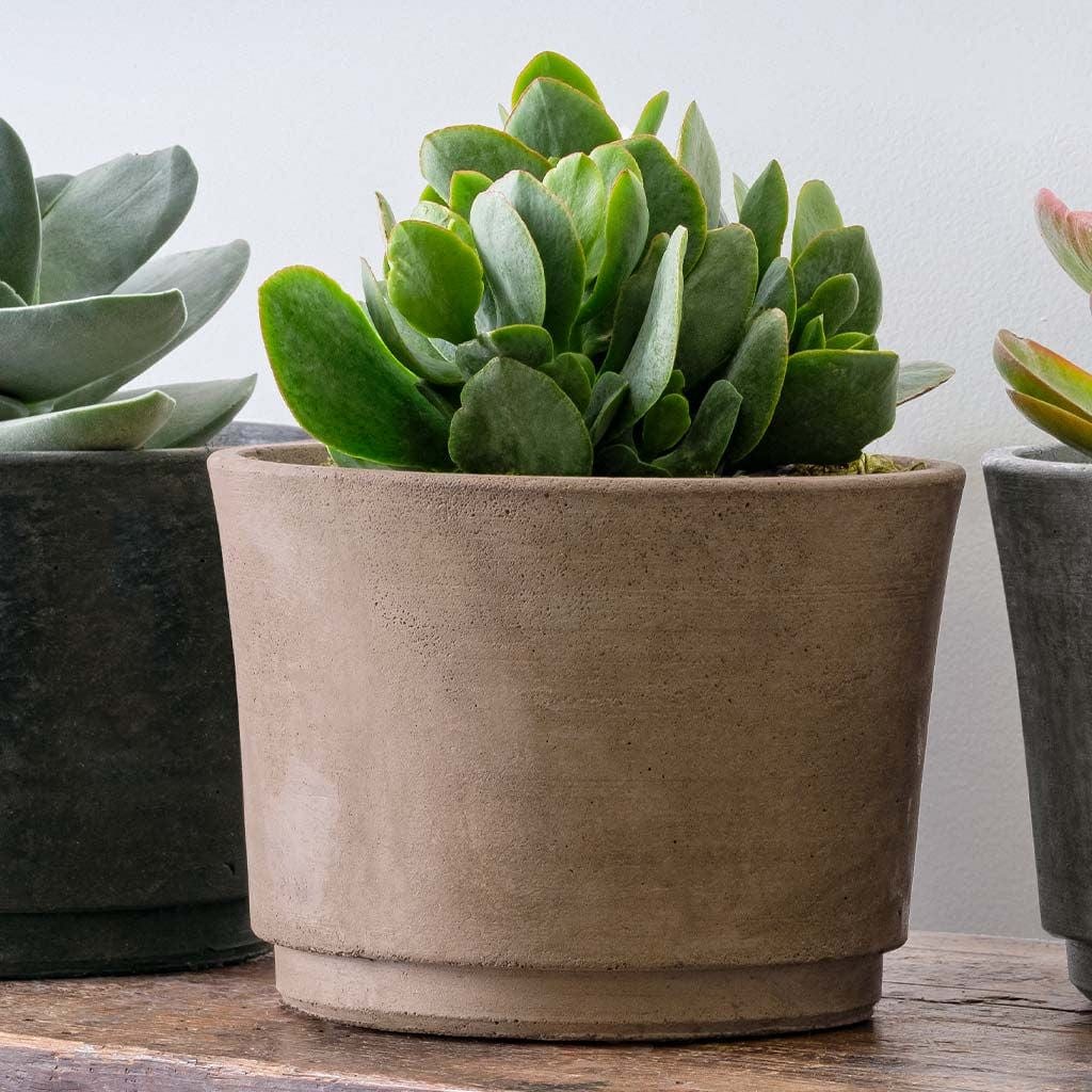 Cloche Wide Lightweight Cast Stone Concrete Terrace Planter in Brown