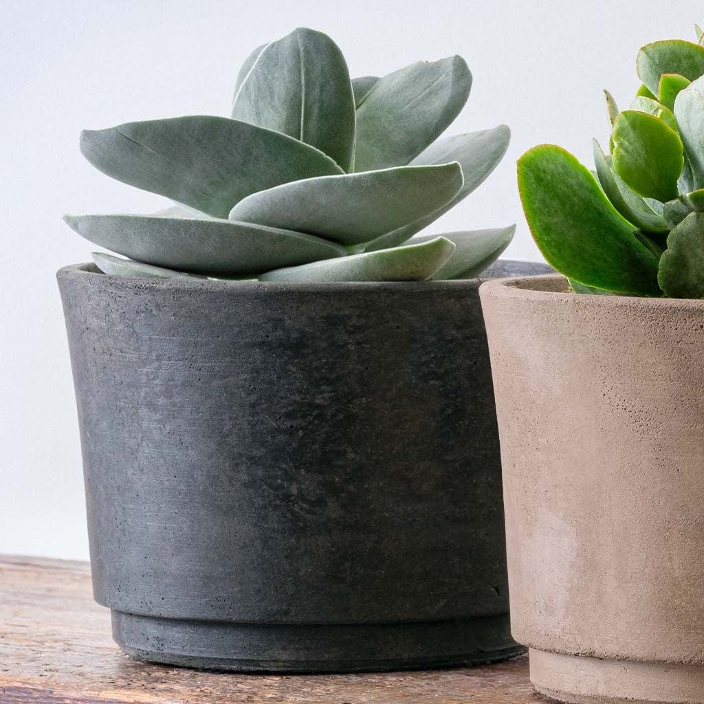 Cloche Wide Lightweight Cast Stone Concrete Terrace Planter in Charcoal