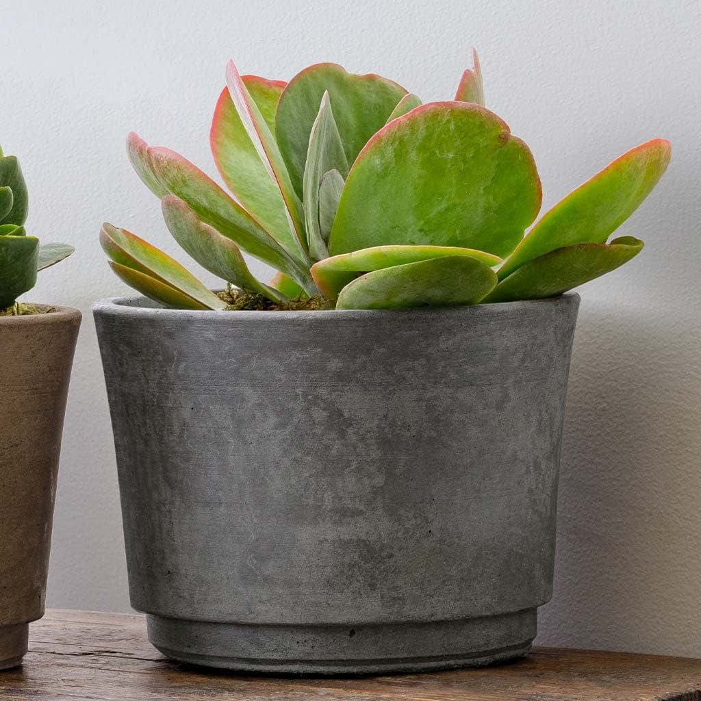 Cloche Wide Lightweight Cast Stone Concrete Terrace Planter in Grey