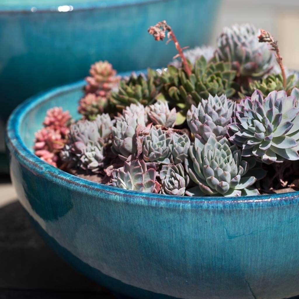 Yuma Bowl Planter Nested Set of 3 | Glazed Collection