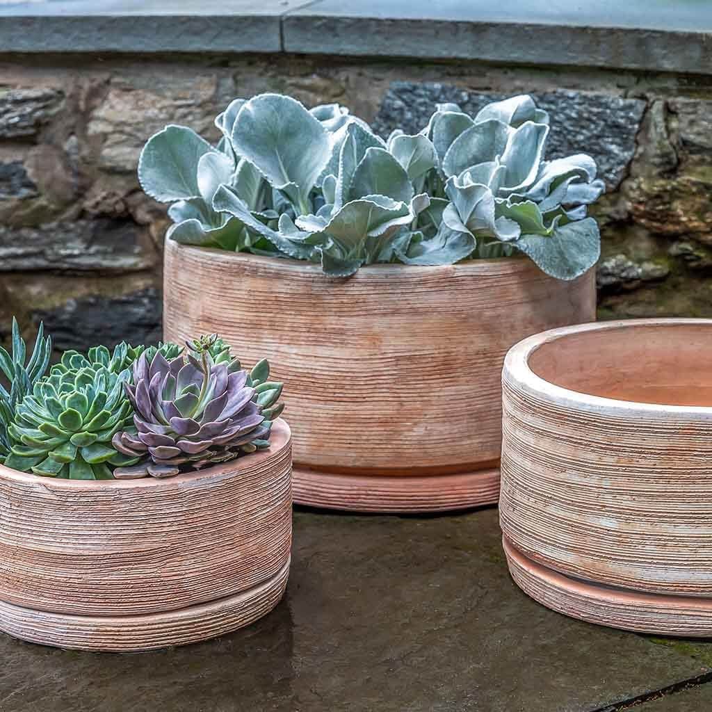 Sgraffito Low Planter Set of 3 in Terra Cotta Finish