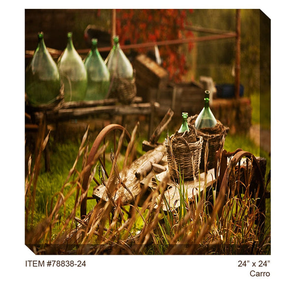 Carro Outdoor Canvas Art - Outdoor Art Pros