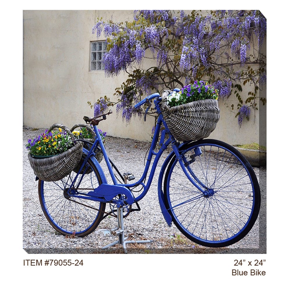 Blue Bike Outdoor Canvas Art - Outdoor Art Pros