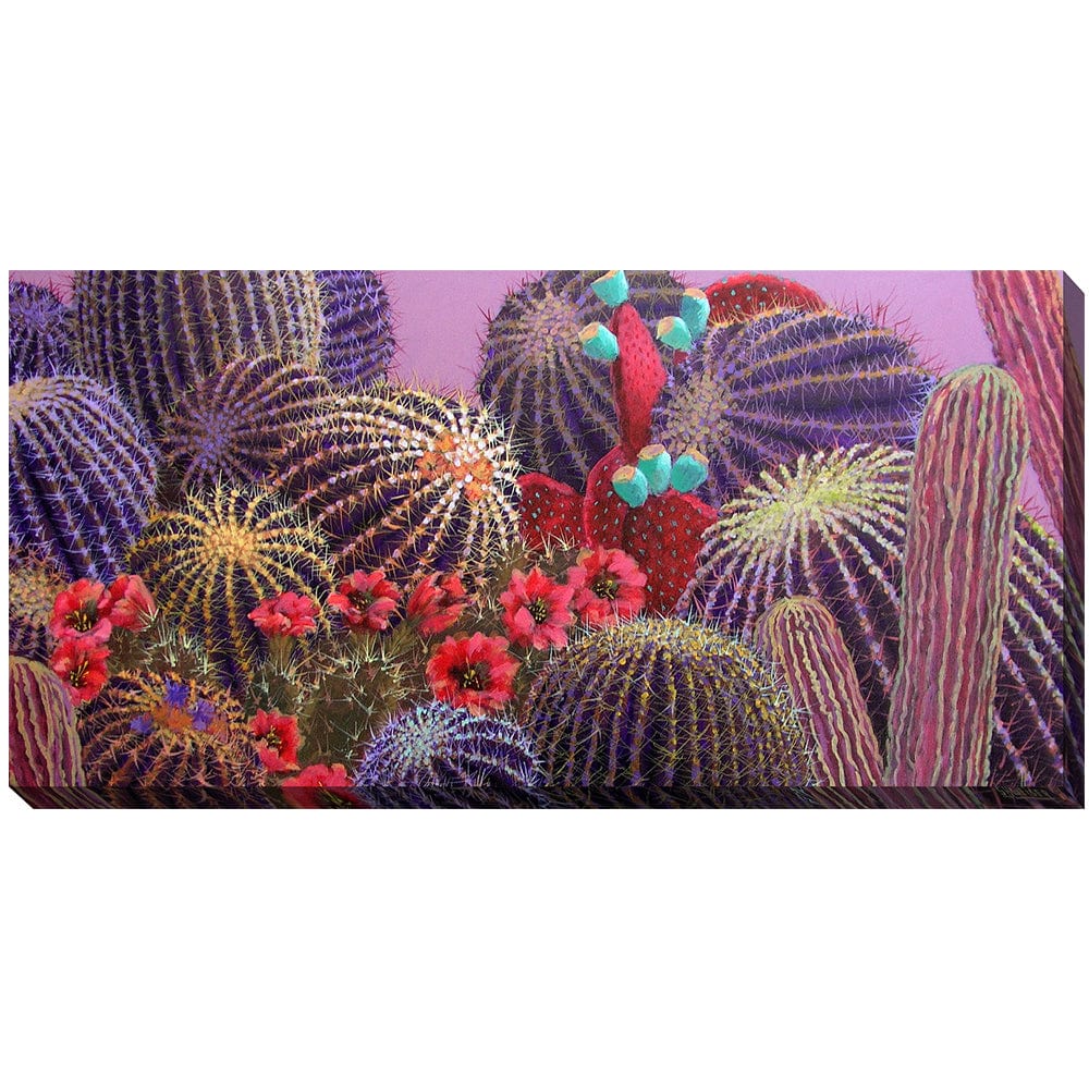 Evening Cactus Outdoor Canvas Art - Outdoor Art Pros