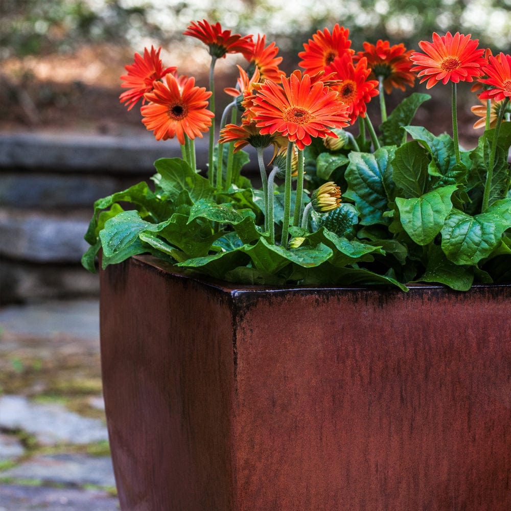Blake Glazed Planter - Set of 4 in Maple Red Finish